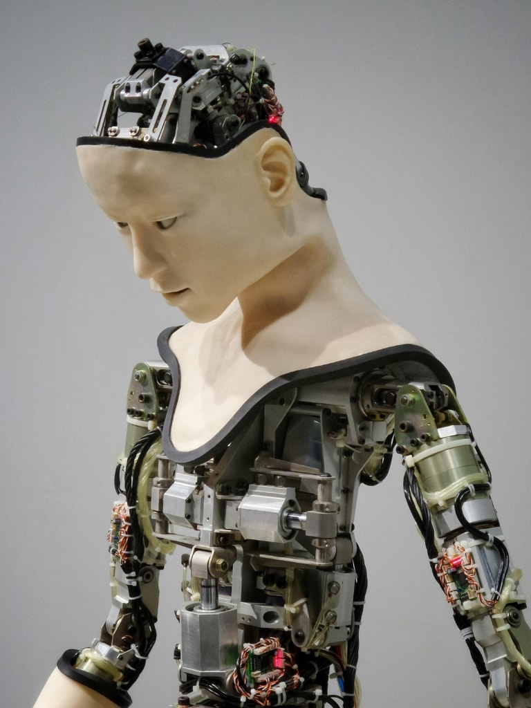 Image processing AI benefits
