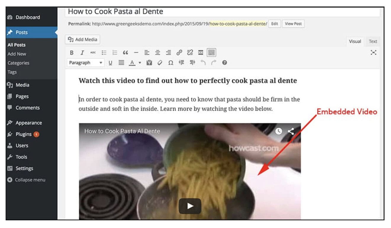 embedded video example